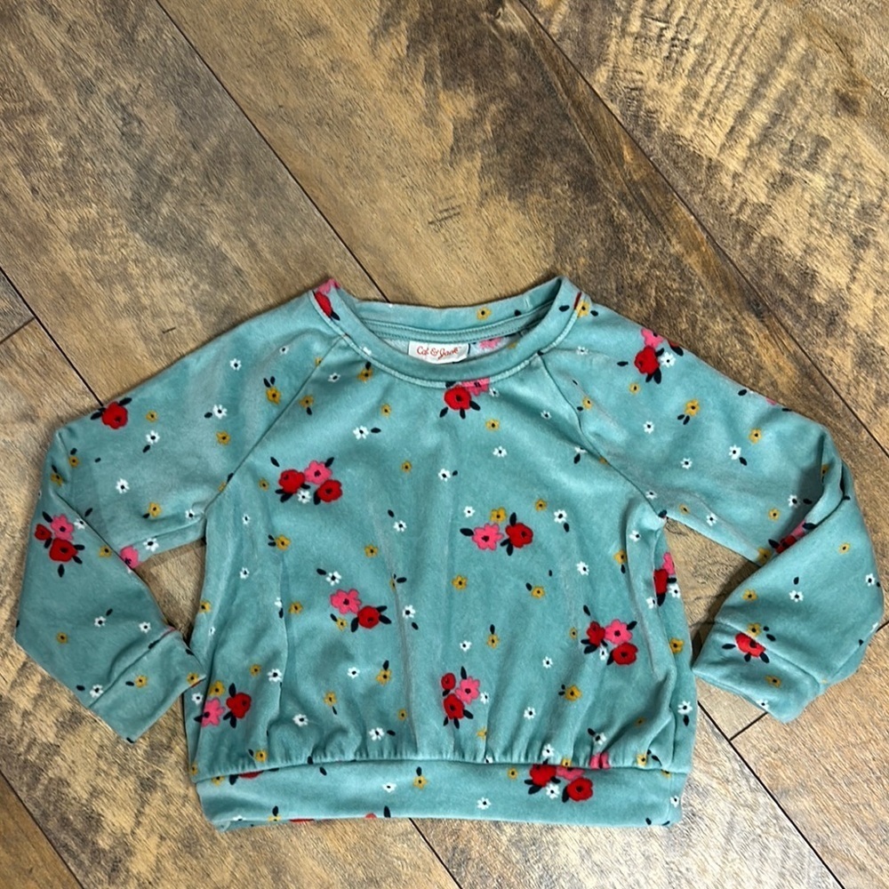 CAT & JACK Floral Velour Sweatshirt, Size 3T, EUC